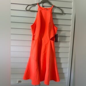 Liv Foster NWT Halter Cocktail Dress